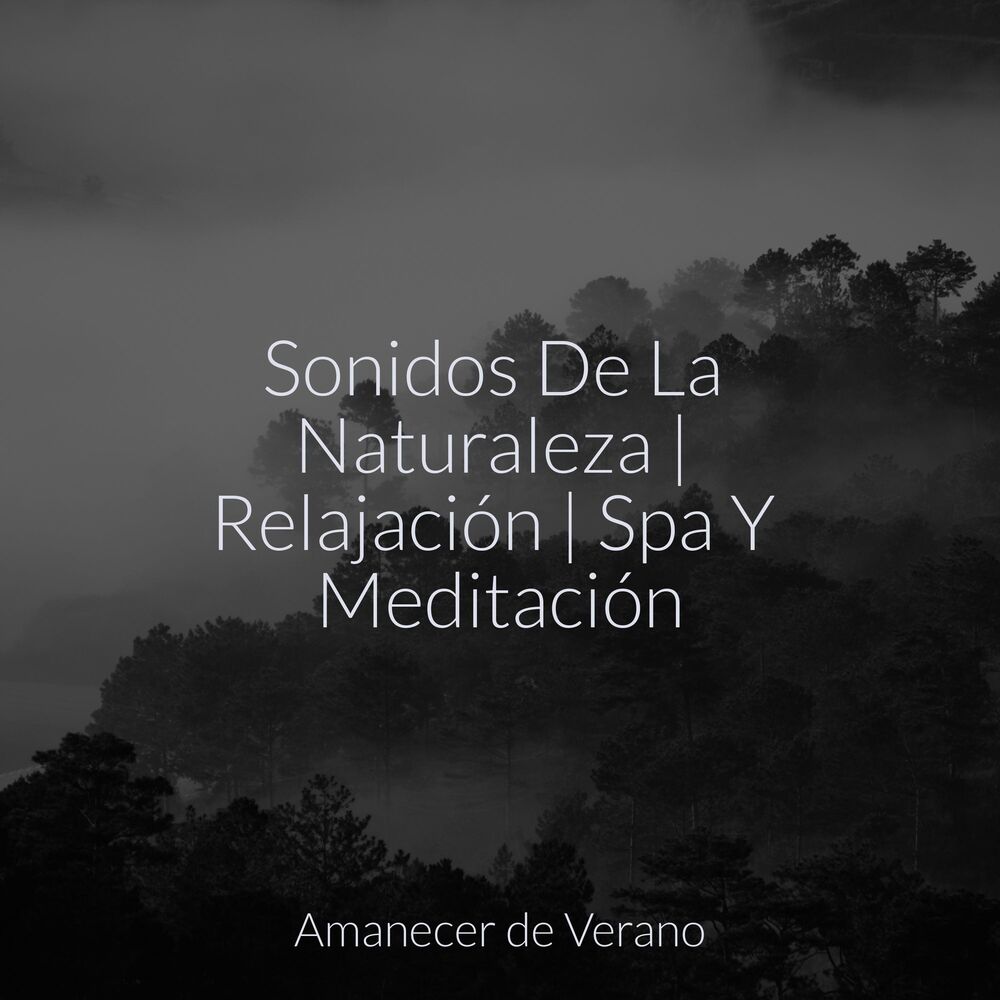 Picture of Sonidos De La Naturaleza | Relajación | Spa Y Meditación