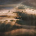 Backscatter