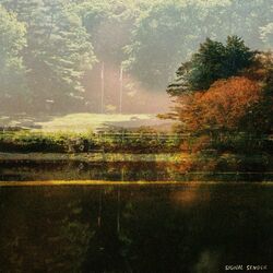 Cover of Signal Sender