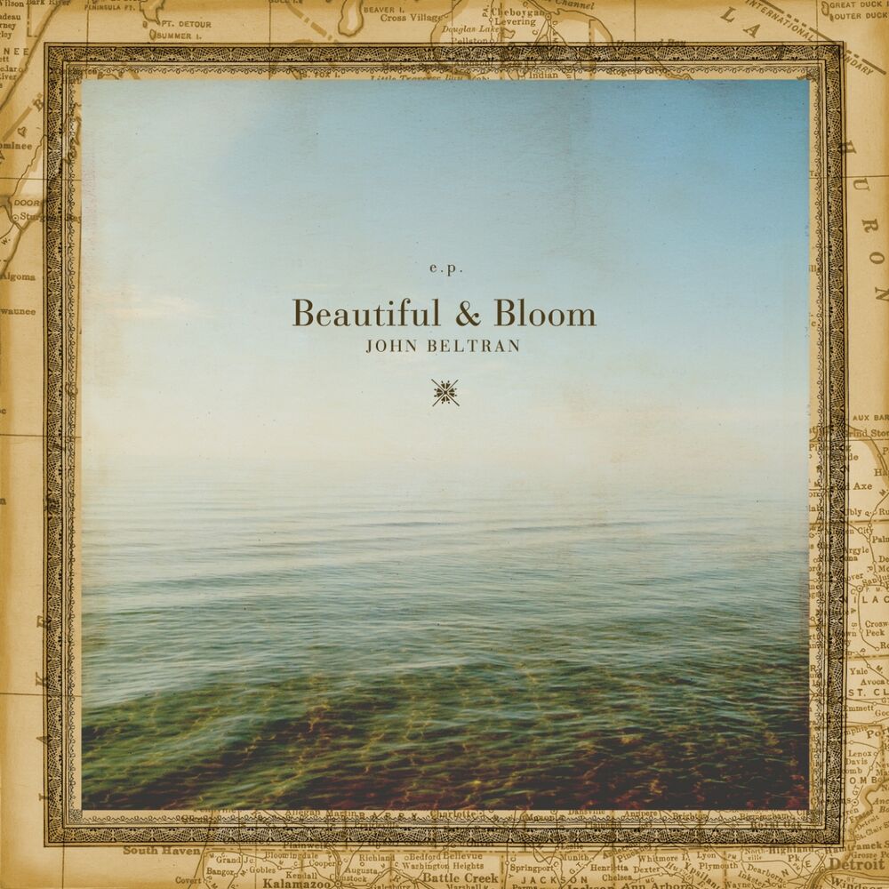 Picture of Beautiful & Bloom