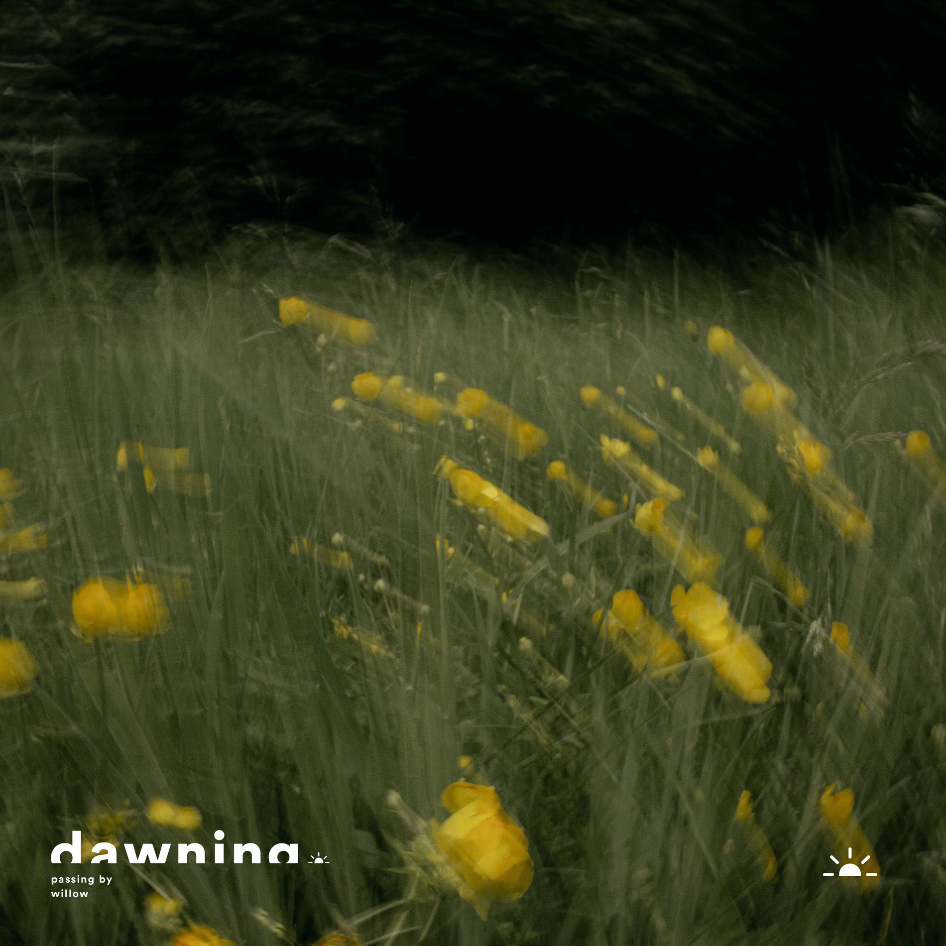 Album cover of Passing By