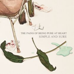 Cover of Simple and Sure