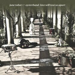 Cover of Love Will Tear Us Apart