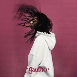 Cover of GAULTIER
