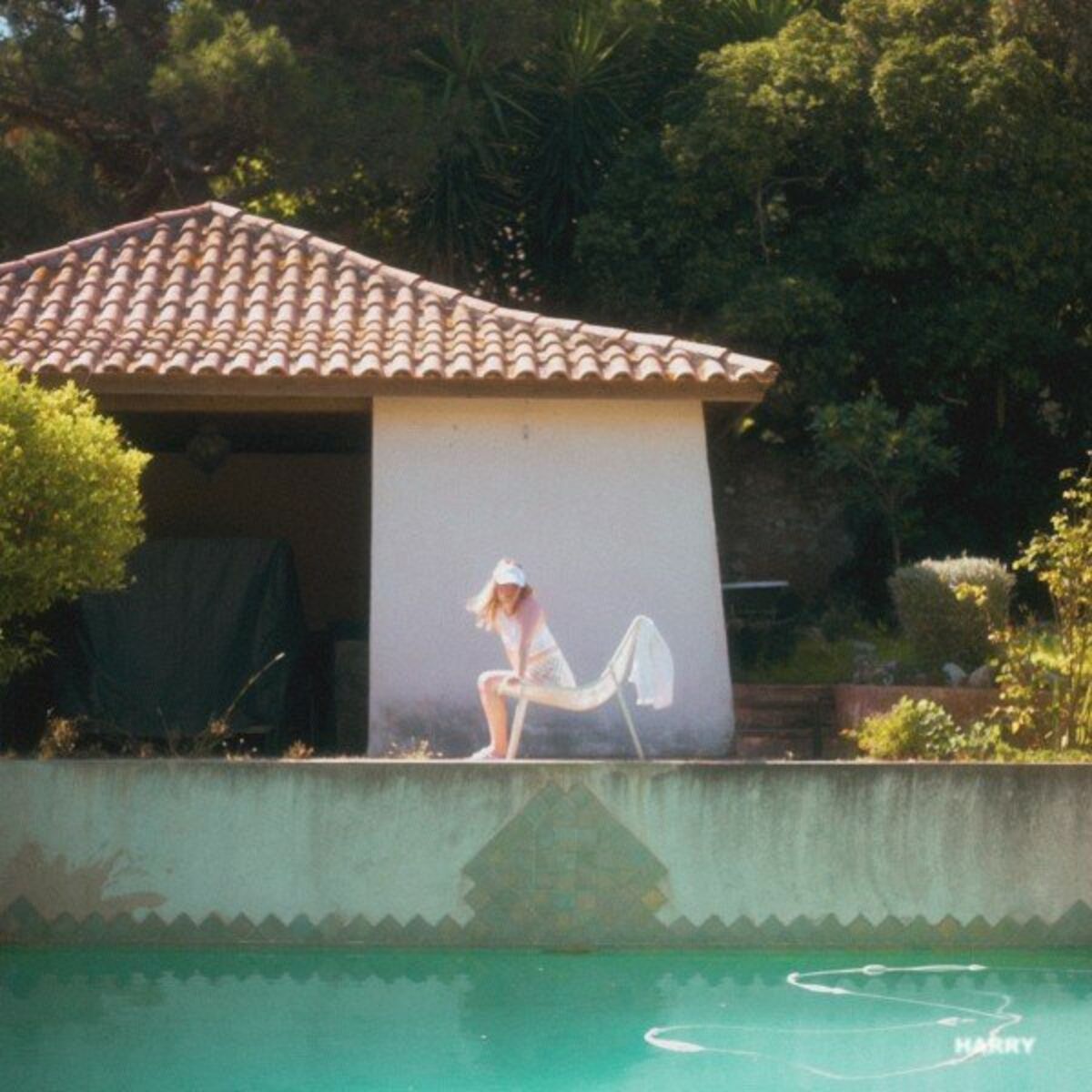 Album cover of HARRY