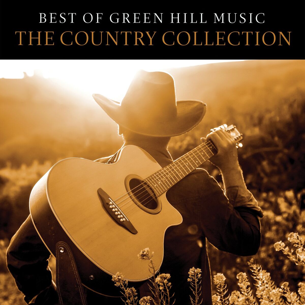 King Of The Hill Kiss My Grass King Of The Hill Kiss My Grass