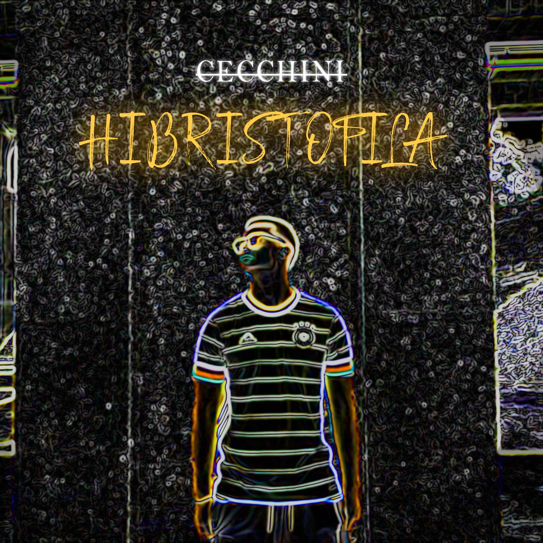 Album cover of Hibristofila