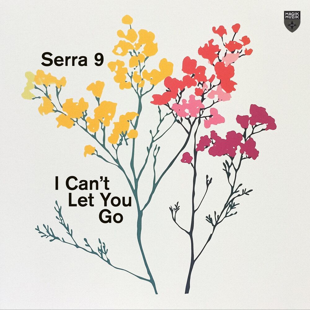 Picture of I Can’t Let You Go
