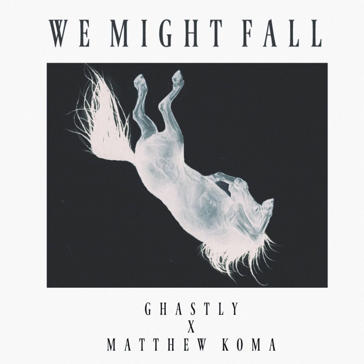 Album cover of We Might Fall