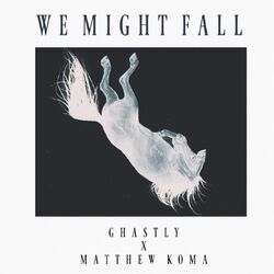 Cover of We Might Fall