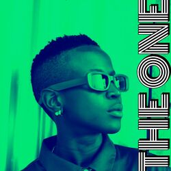 Cover of The One