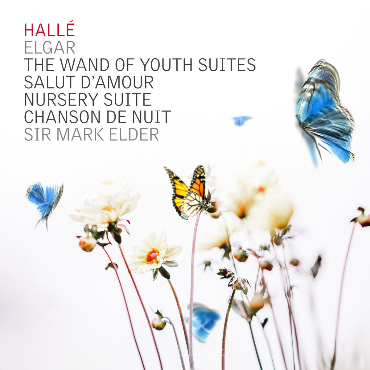 Album cover of Elgar Wand of Youth