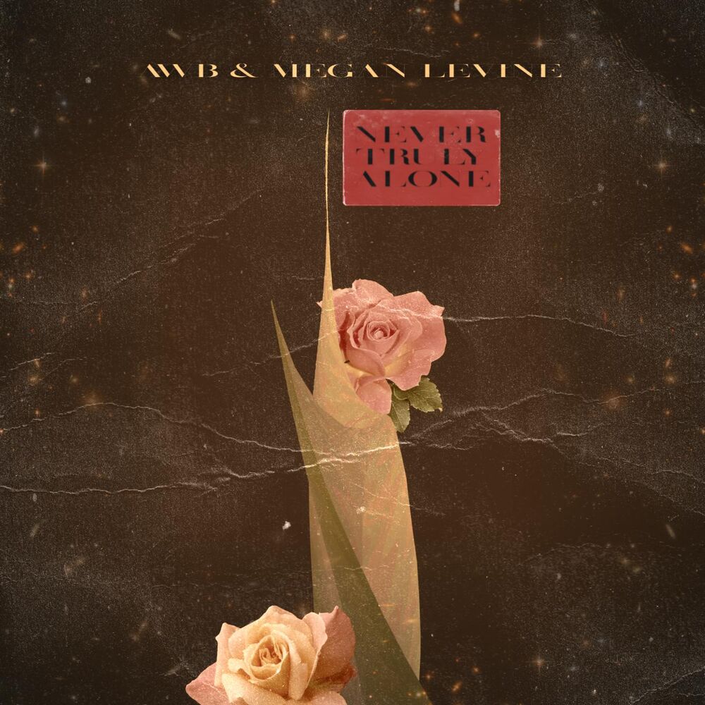 Picture of Never Truly Alone