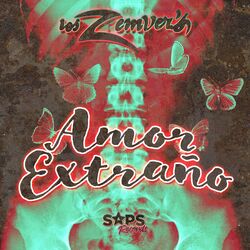 Cover of Amor Extraño
