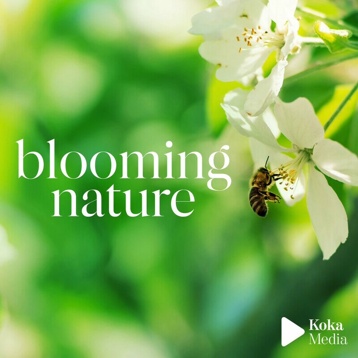 Album cover of Blooming Nature