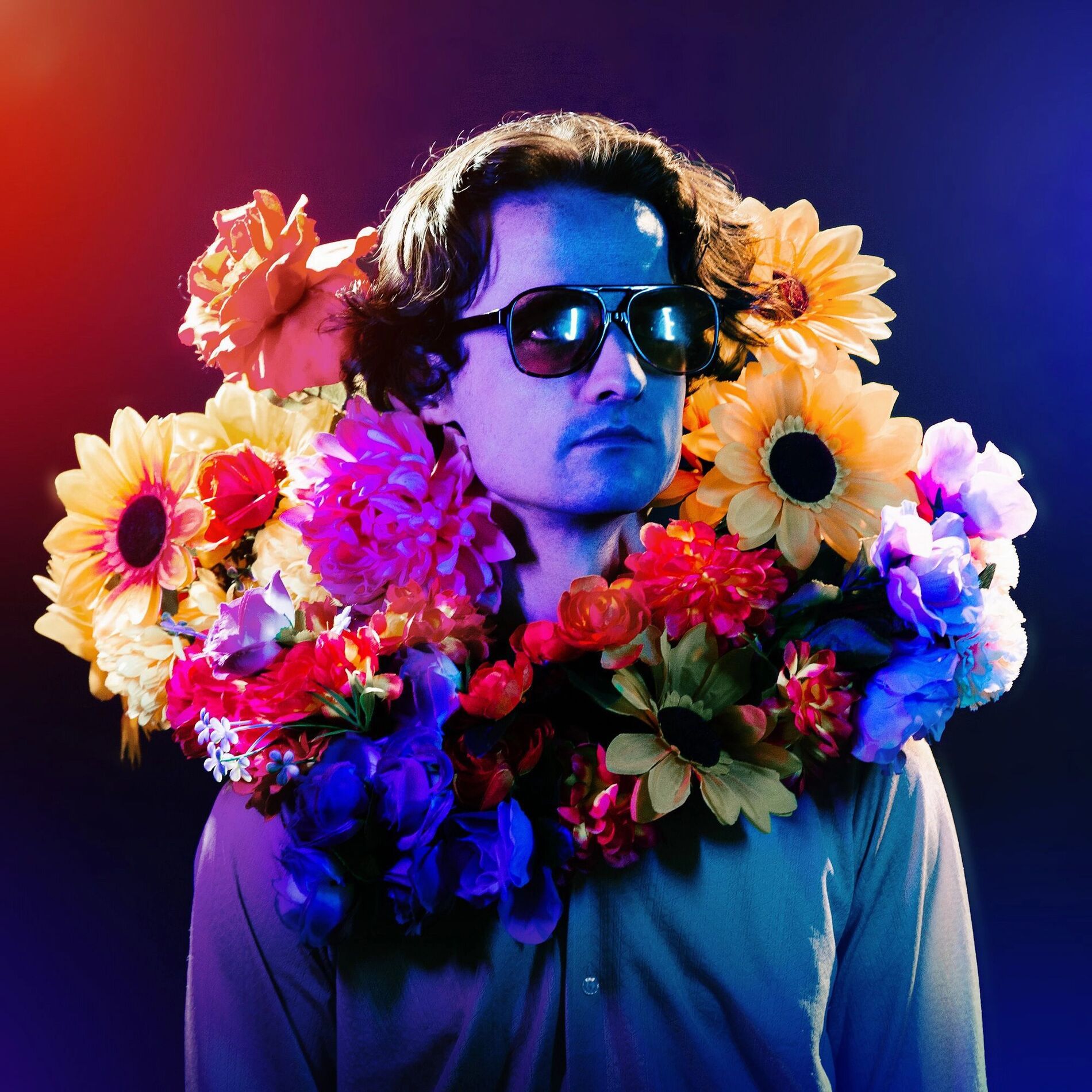 Album cover of Technically, Probably More Of The Same, I Suppose, In Theory
