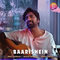 Cover of Baarishein