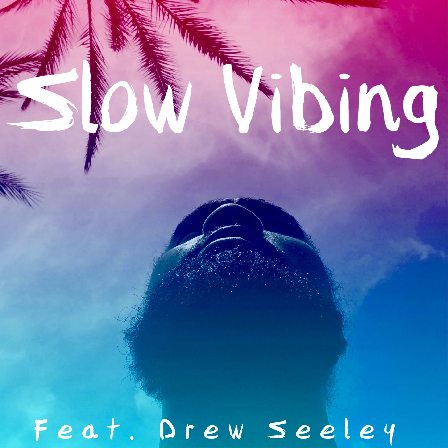 Album cover of Slow Vibing