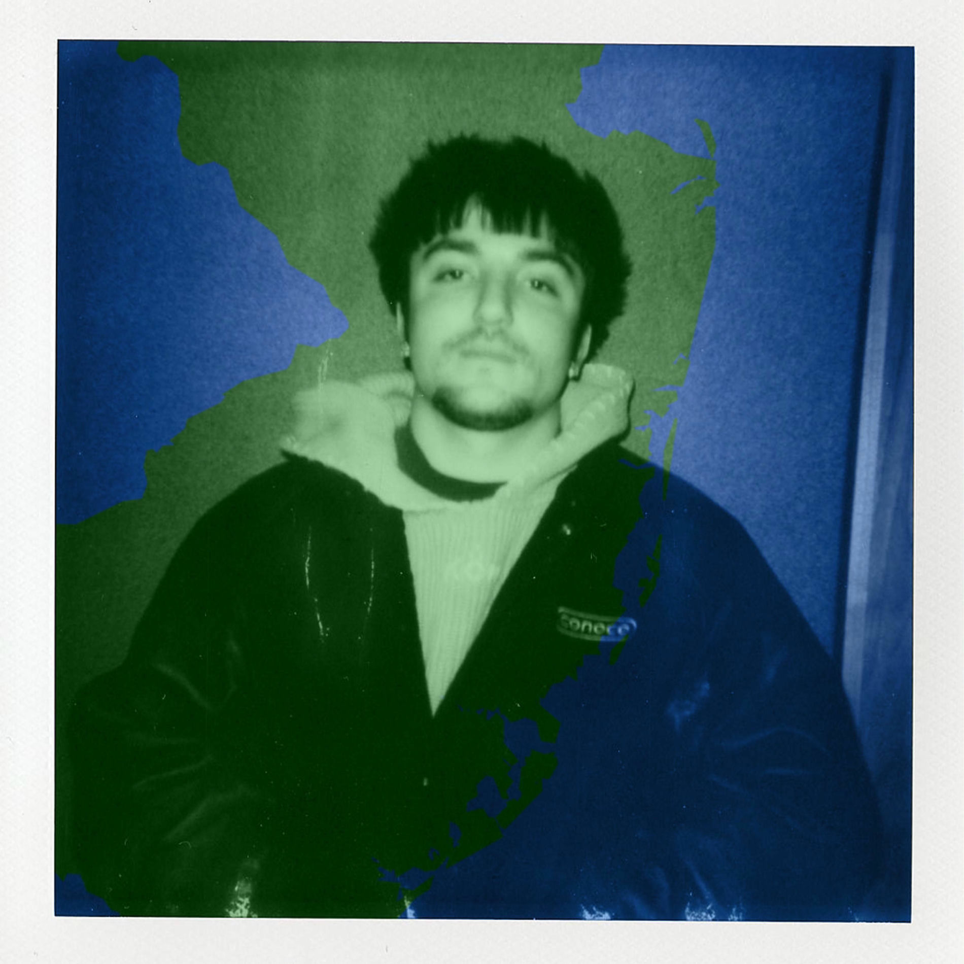 Album cover of SAVE THE BEES / DENVER