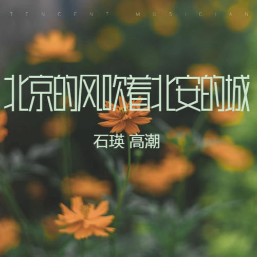 北京的风吹着北安的城
