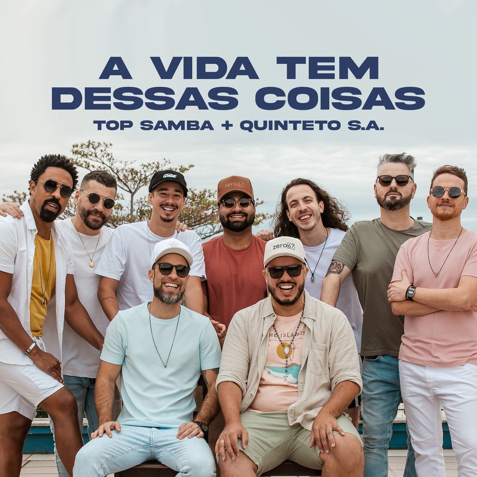 Album cover of A Vida Tem Dessas Coisas