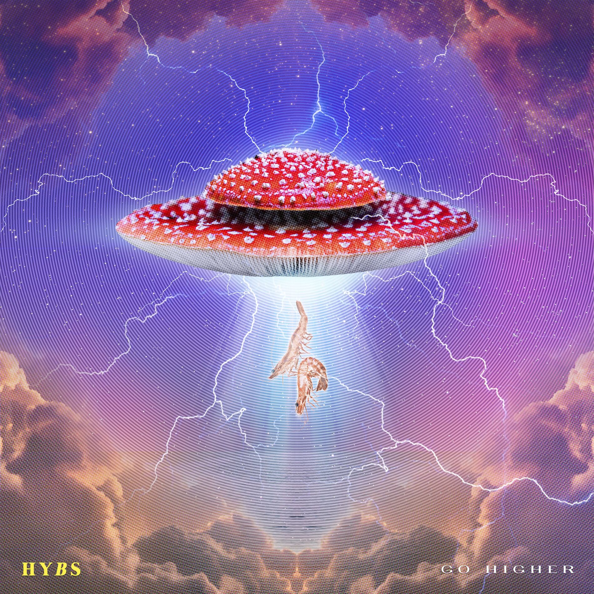 Album cover of Go Higher