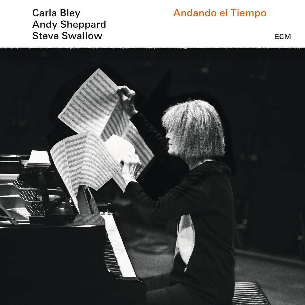 Picture of Andando El Tiempo