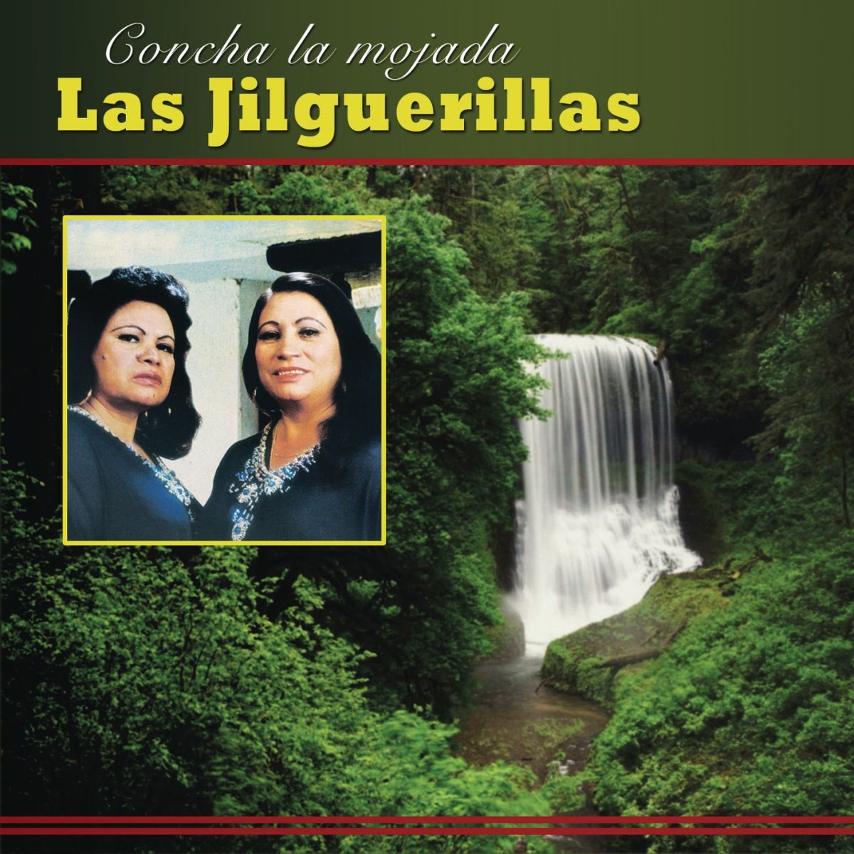 Album cover of Concha La Mojada