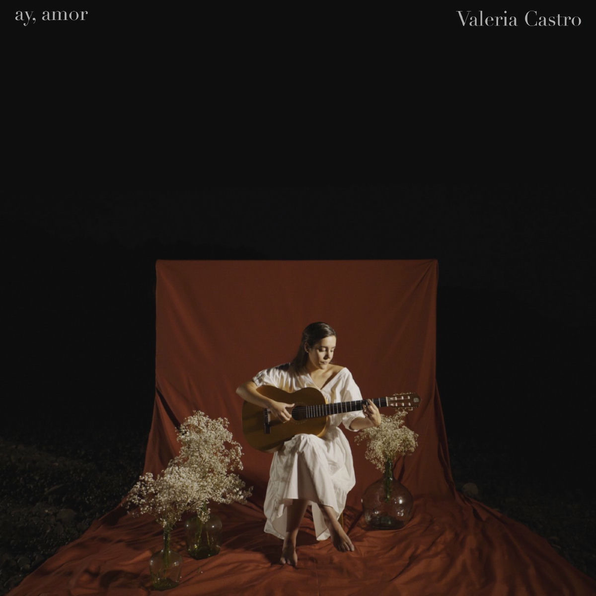 Album cover of ay, amor