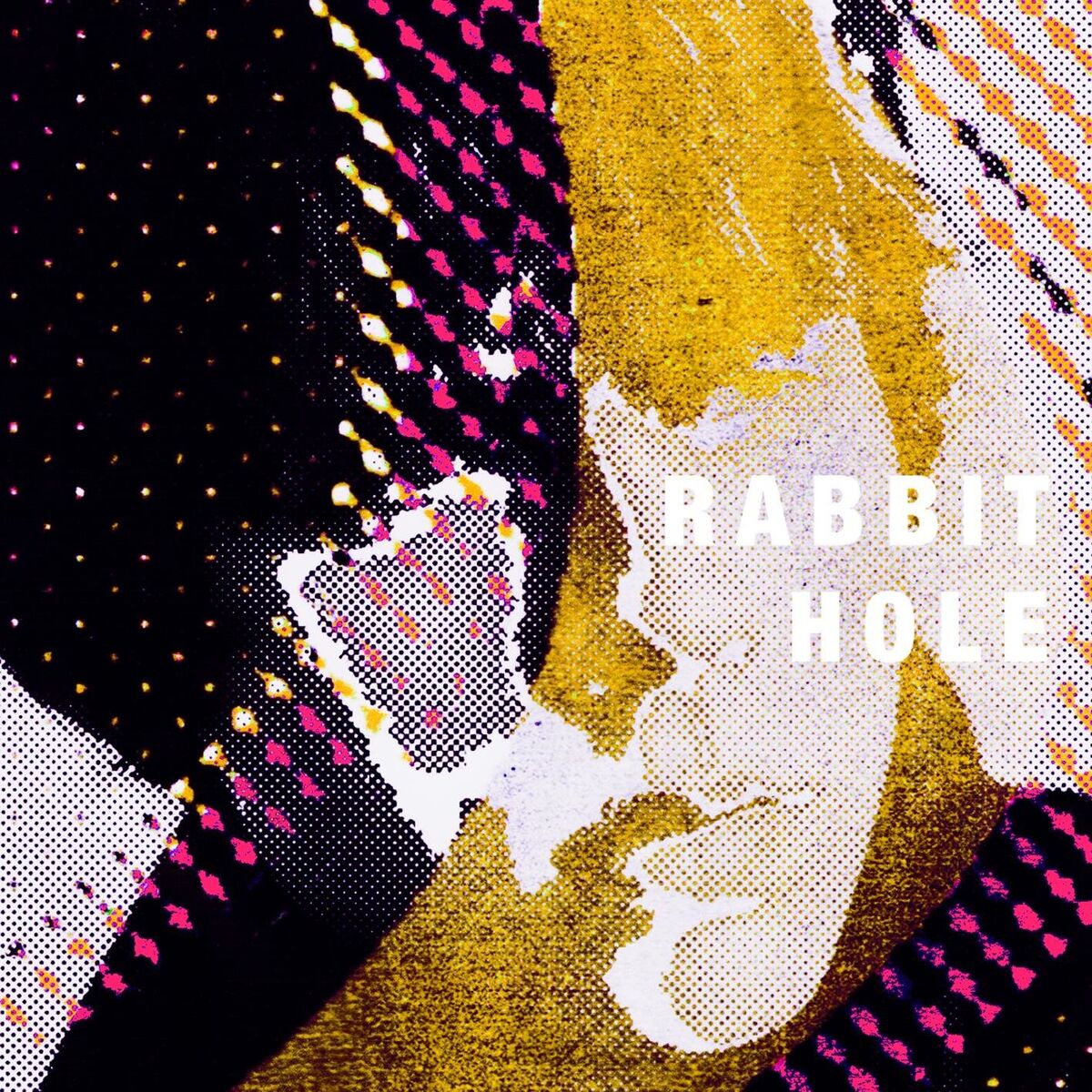 Album cover of Rabbit Hole