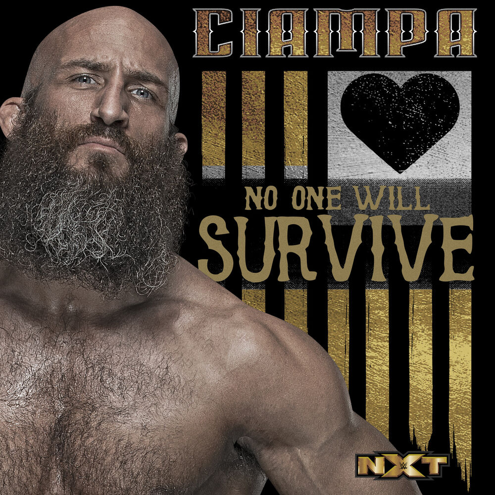 Picture of WWE: No One Will Survive (Ciampa)