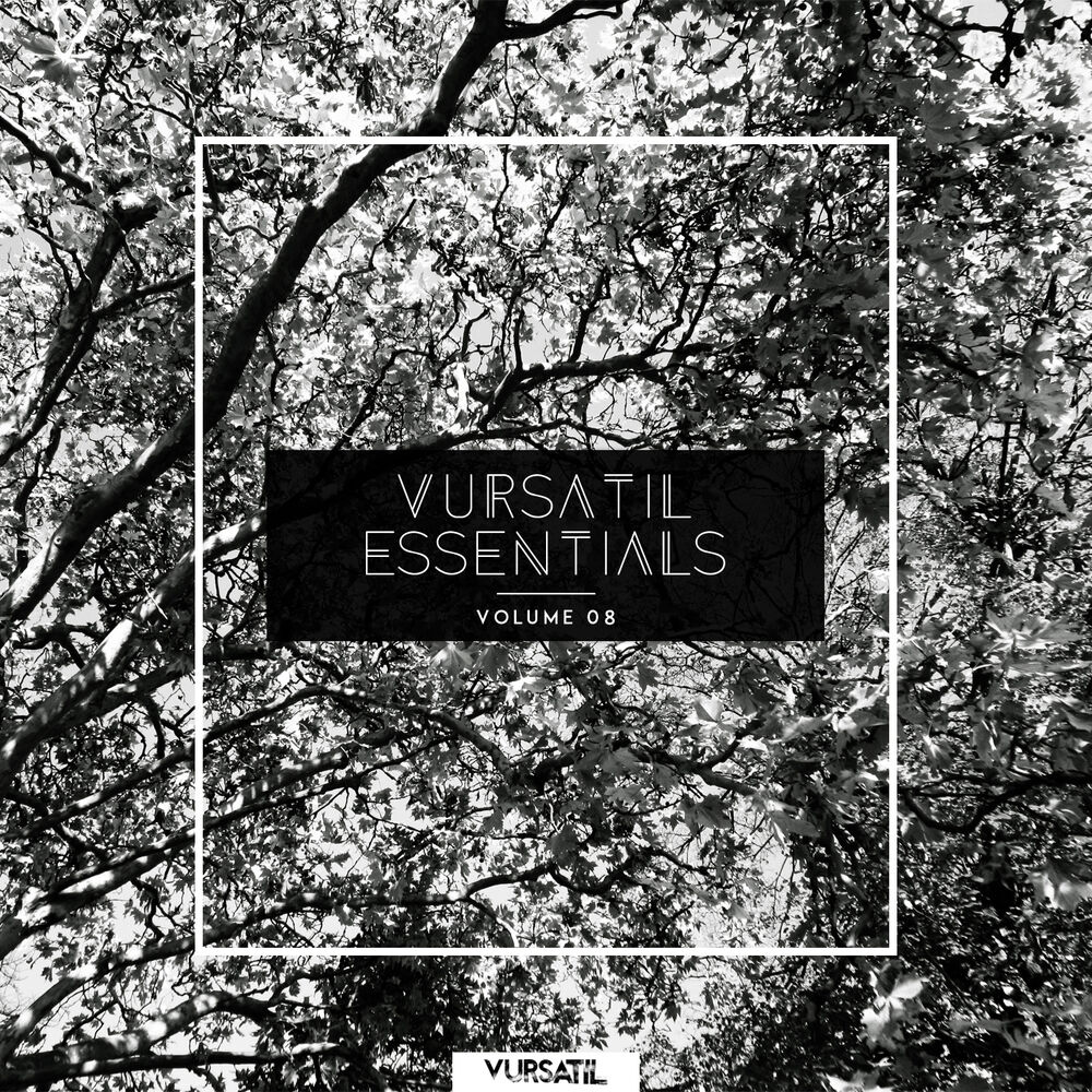 Picture of Vursatil Essentials 08