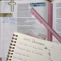 Lani's Devotional (feat. Jaylanie)