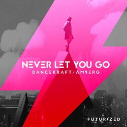 Cover of Never Let You Go