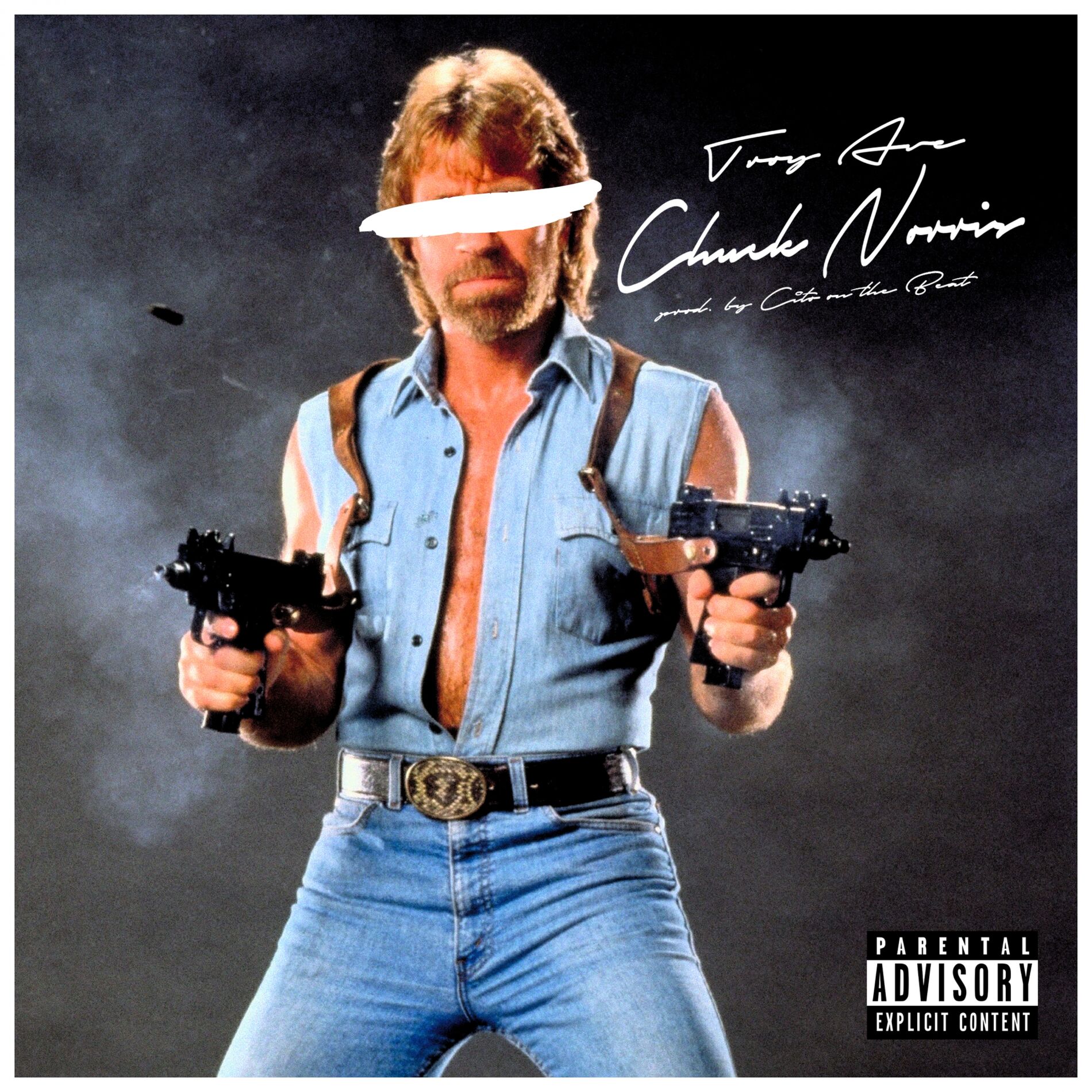 Album cover of Chuck Norris (Hoes & Gangstas)