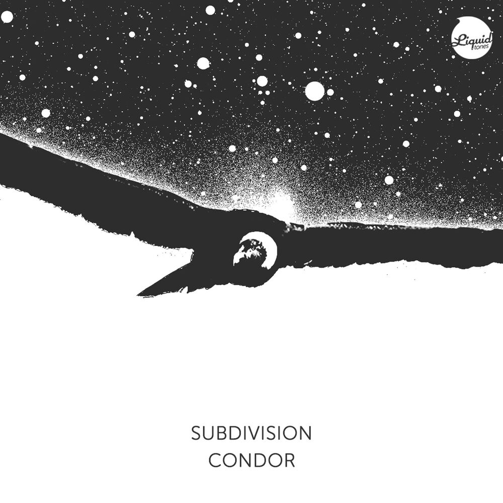 Picture of Condor