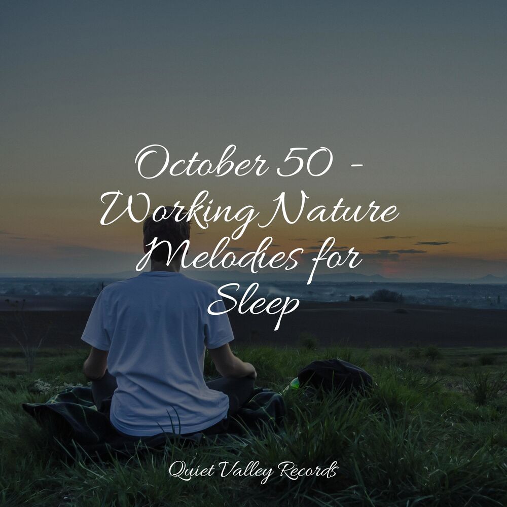 Picture of October 50 - Working Nature Melodies for Sleep