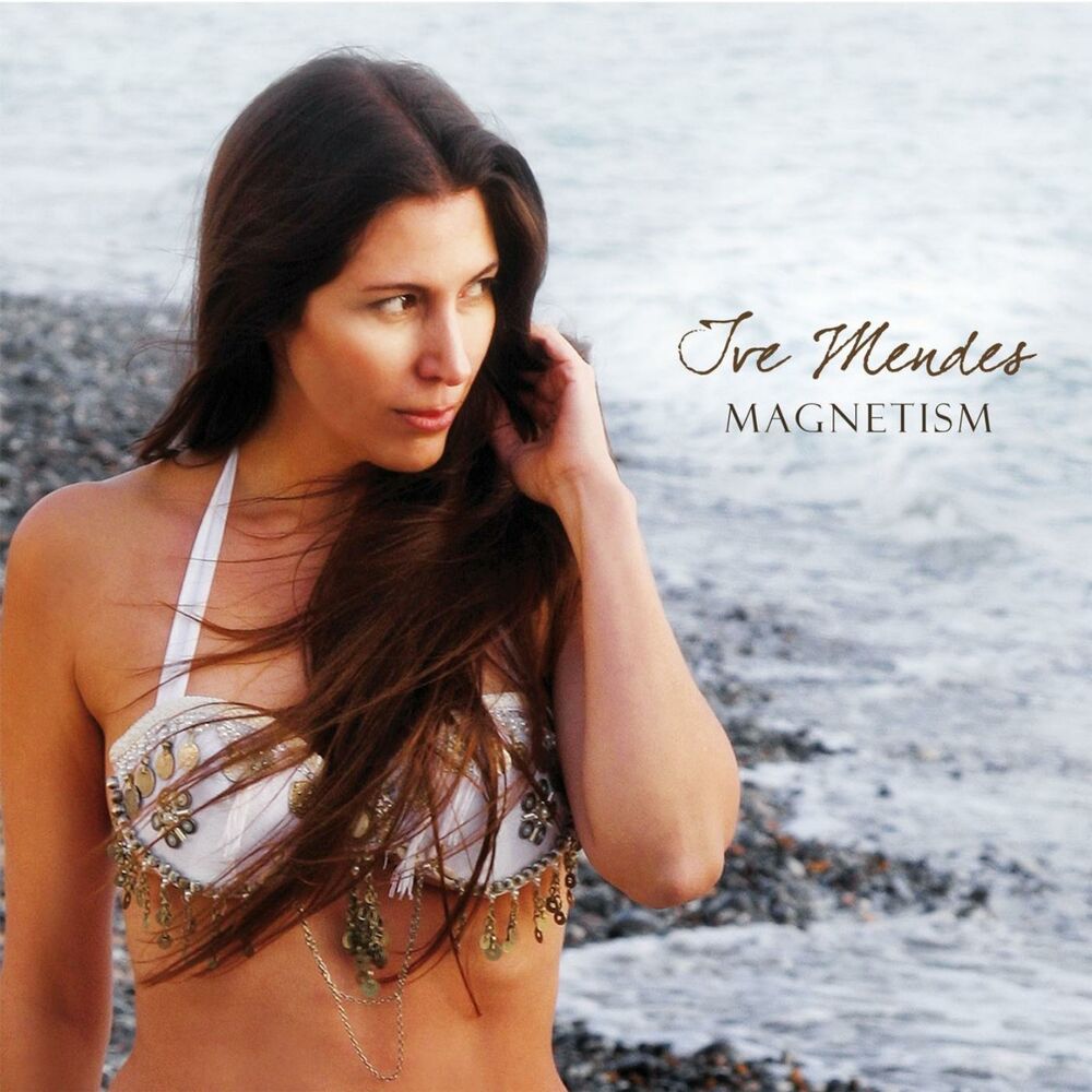 Picture of Magnetism, Vol. 1