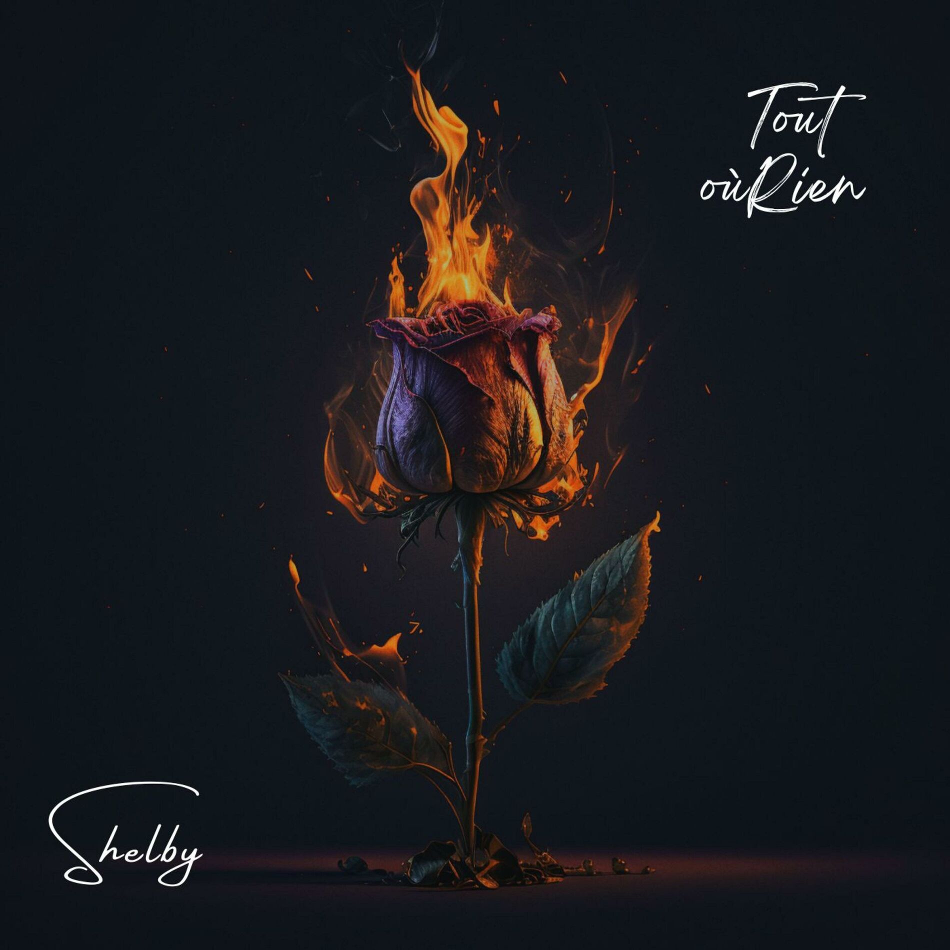 Album cover of Tout où rien
