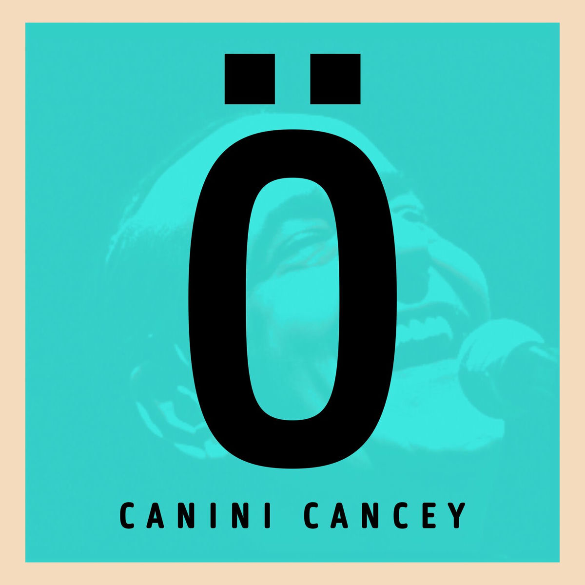 Album cover of Canını Cancey