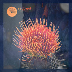 Pochette album