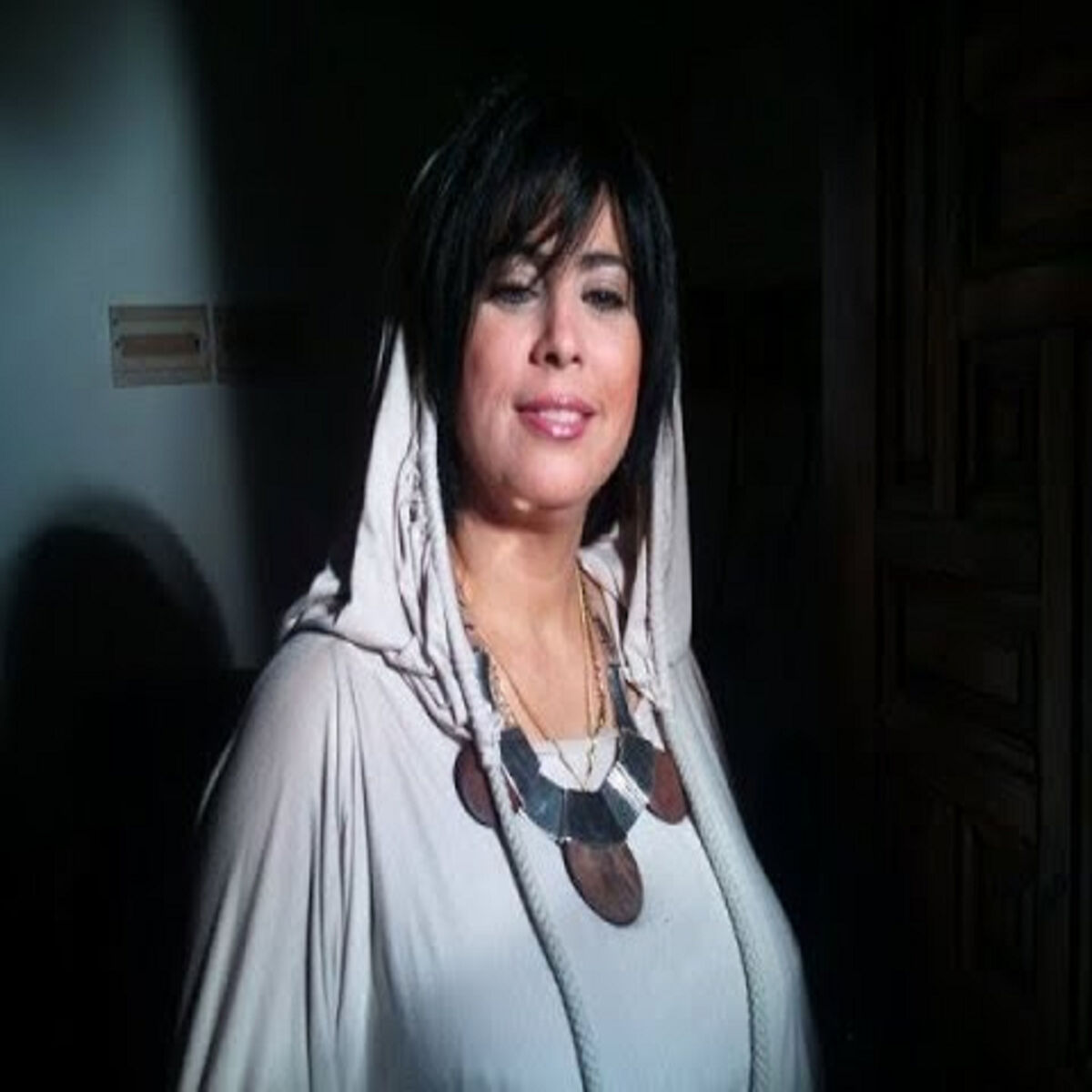 Album cover of Ani Cherka