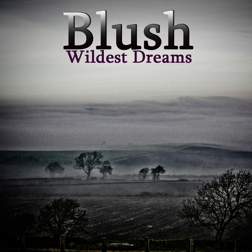 Picture of Wildest Dreams