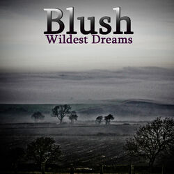 Cover of Wildest Dreams