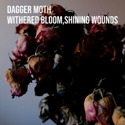 Cover of Withered bloom, shining wounds