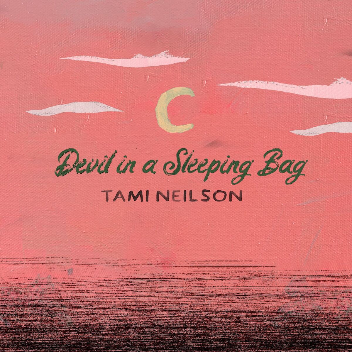 Album cover of Devil In A Sleeping Bag
