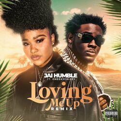 Cover of Loving me Up (Remix)