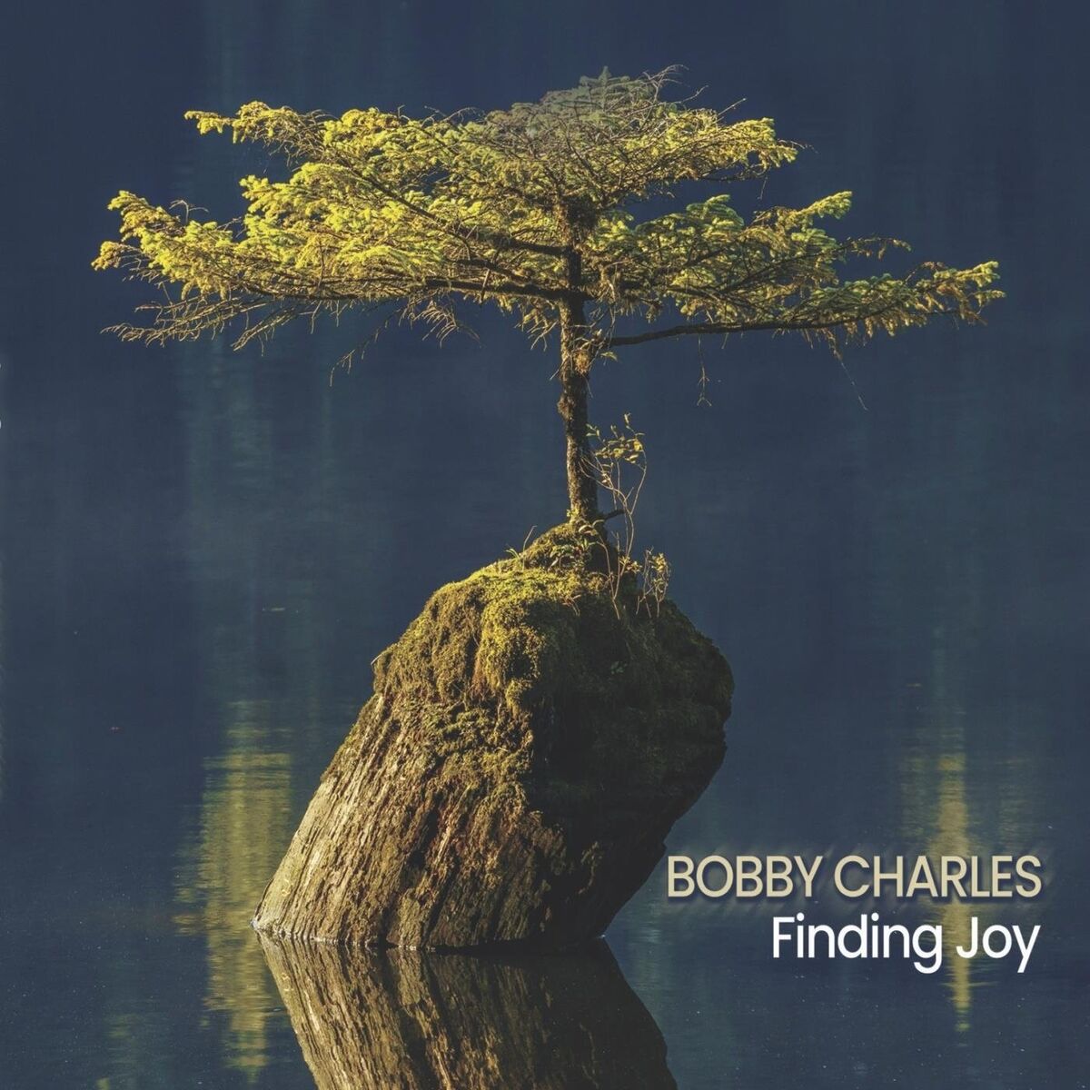 Album cover of Finding Joy