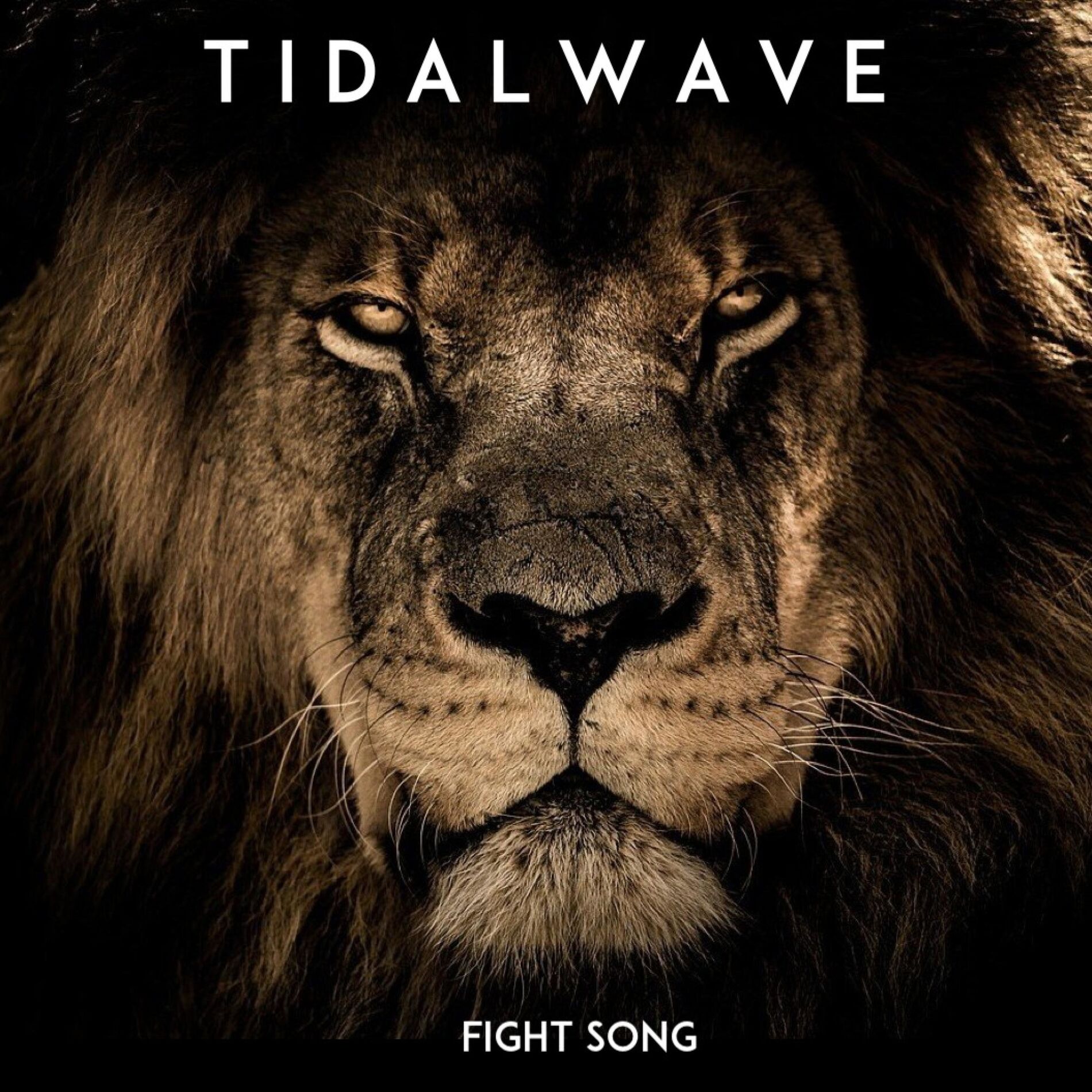 Album cover of Fight Song