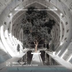 Cover of Natural Mood (8D Audio)